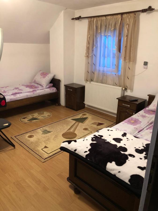 Pensiunea Morosanu Borşa المظهر الخارجي الصورة